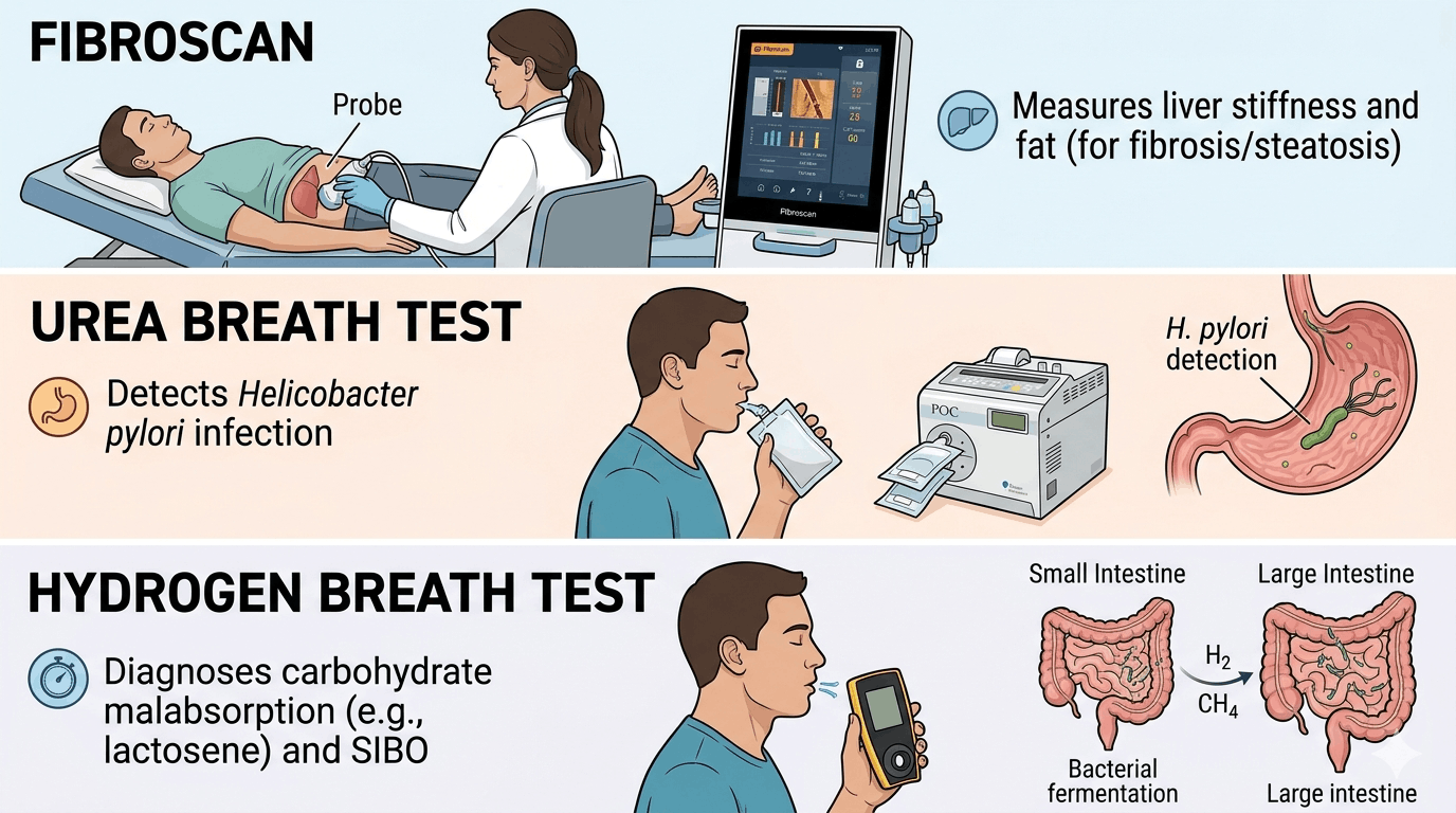 Fibroscan/Urea and Hydrogen Breath test